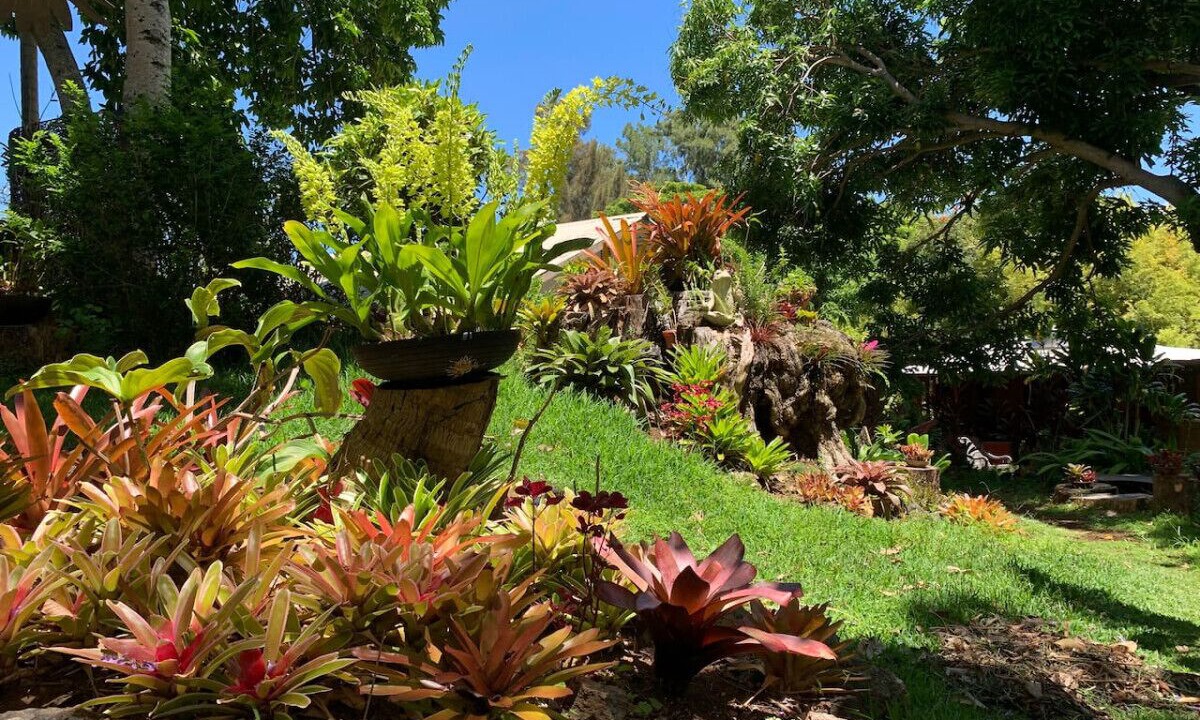 Photo of Outdoor in Kukuihaele