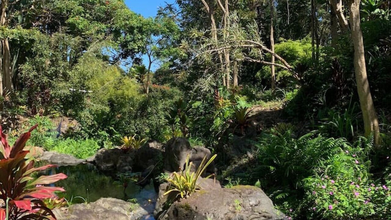 Photo of Others in Kukuihaele