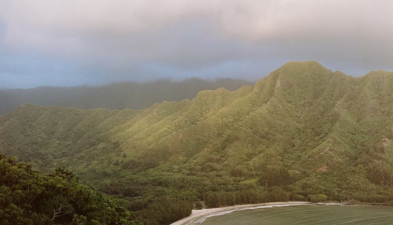 Photo of Others in Pupukea