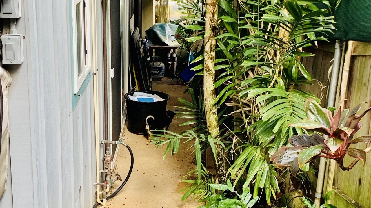 Photo of Outdoor in Pupukea