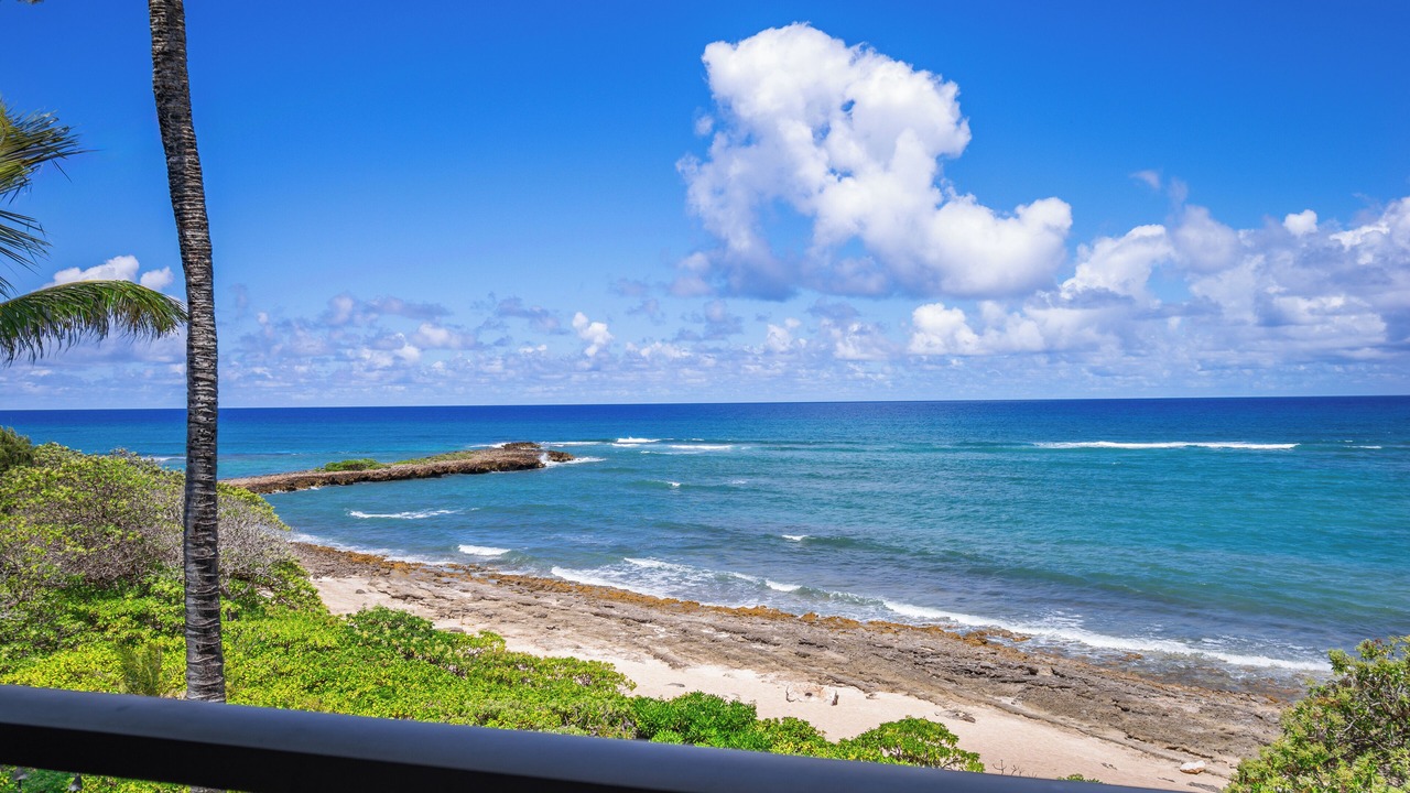 Photo of Others in Kahuku