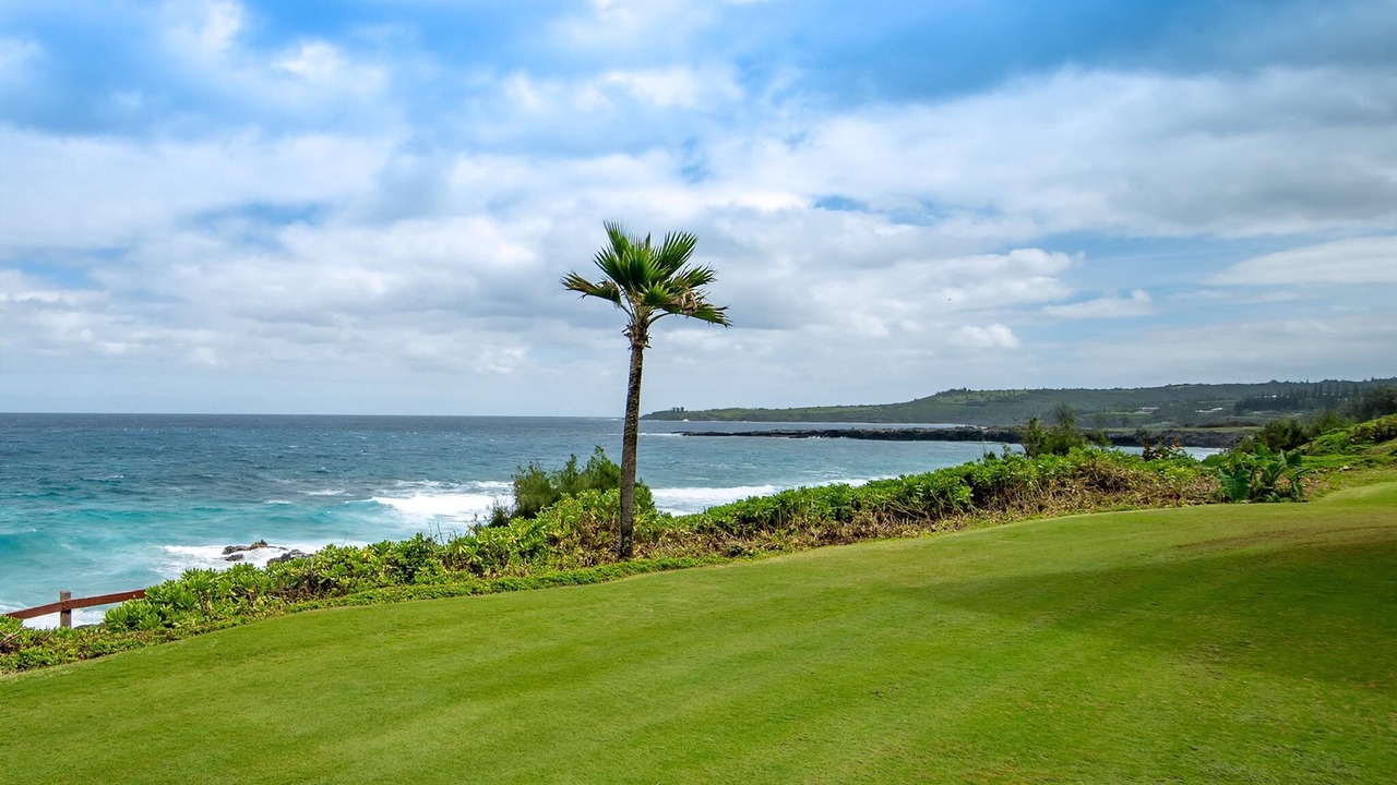 Photo of Others in Kapalua