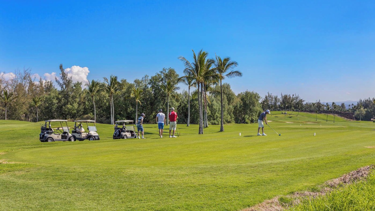 Photo of Others in Waikoloa Village