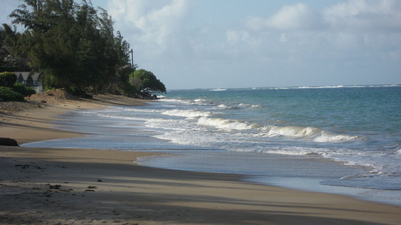 Photo of Others in Punaluu