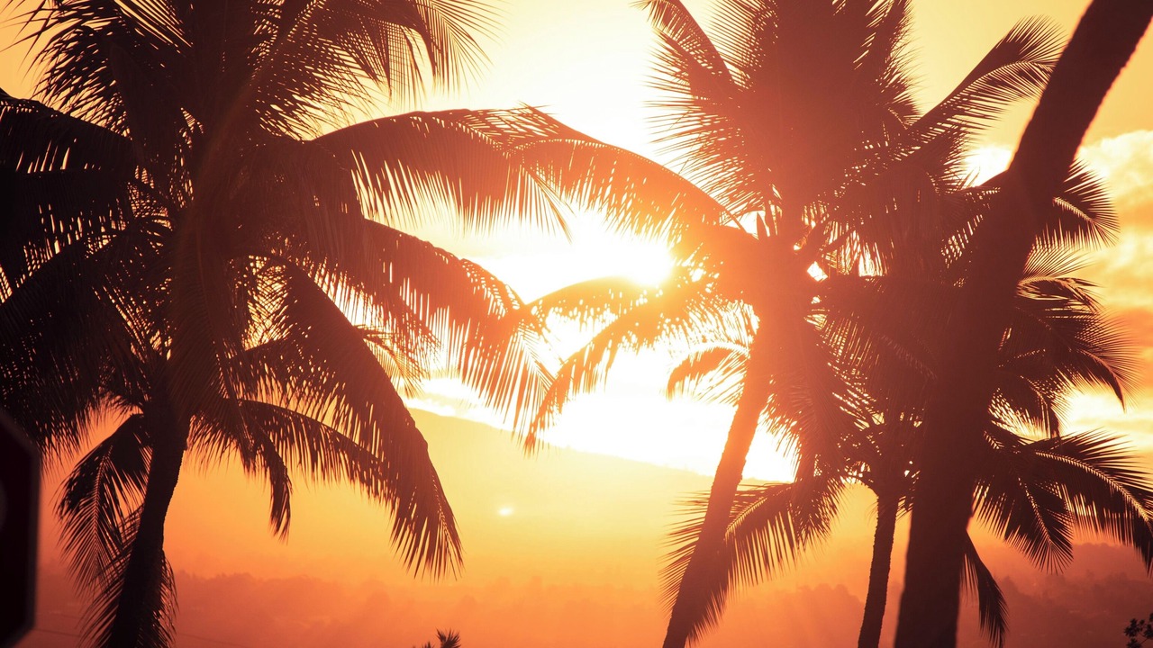Photo of Others in Waikoloa