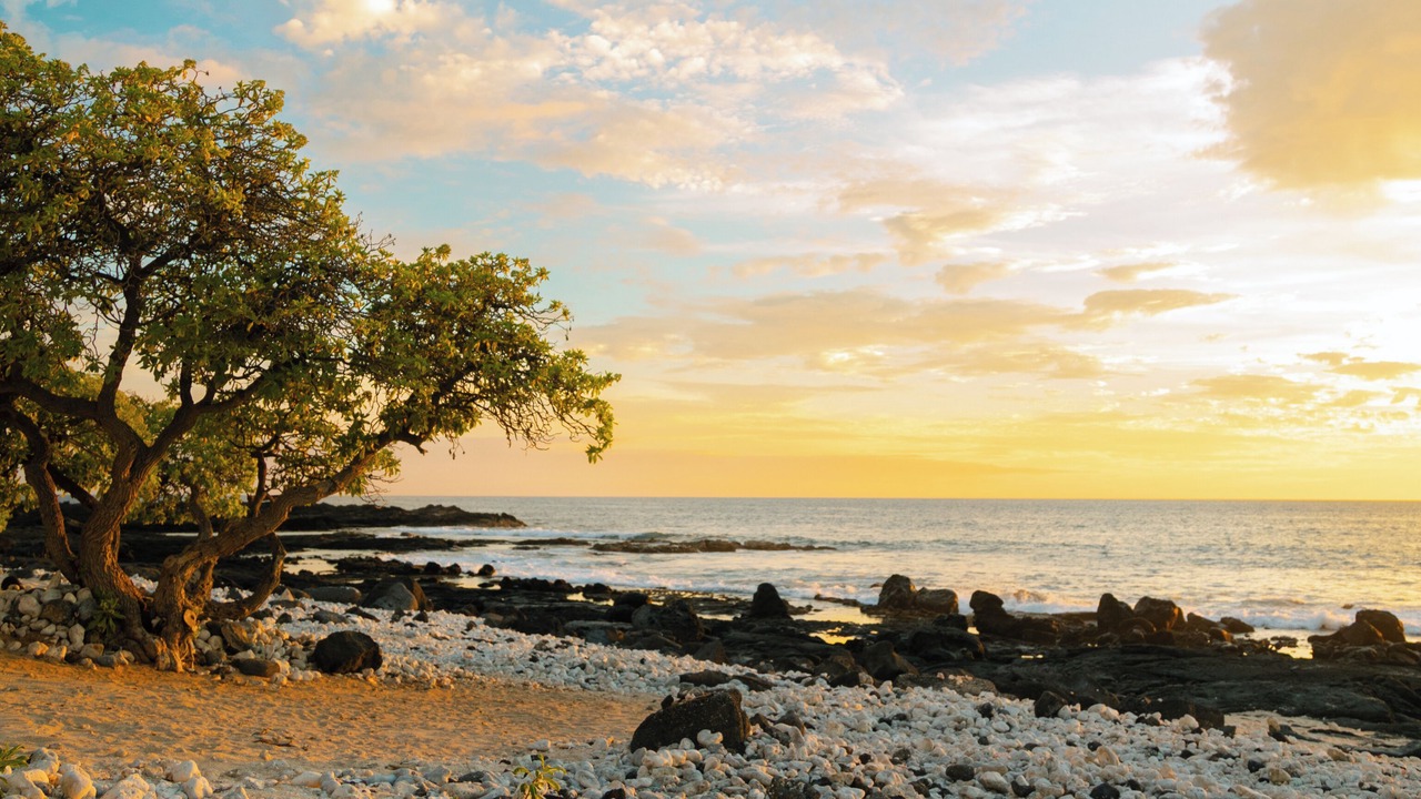 Photo of Others in Waikoloa