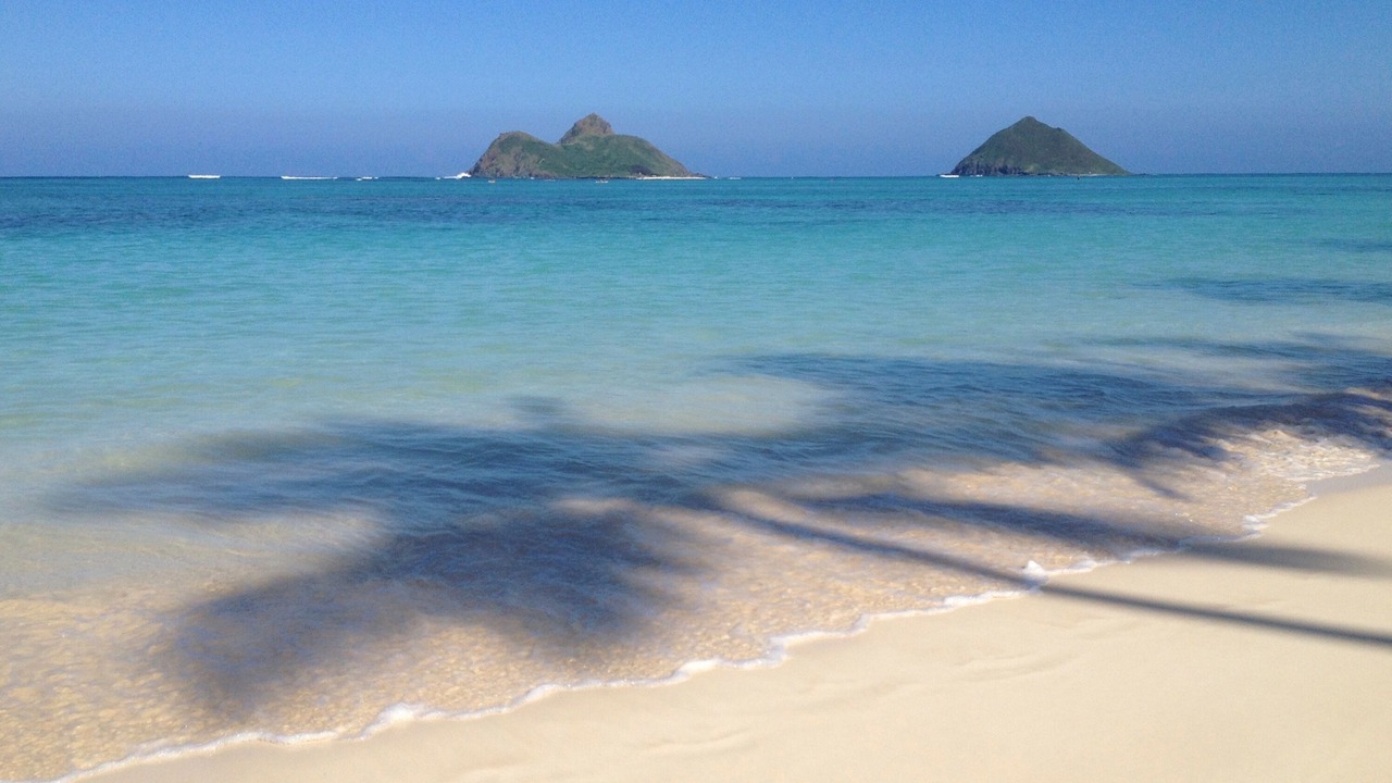 Photo of Others in Kailua