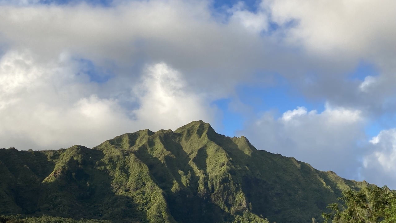 Photo of Outdoor in Kailua