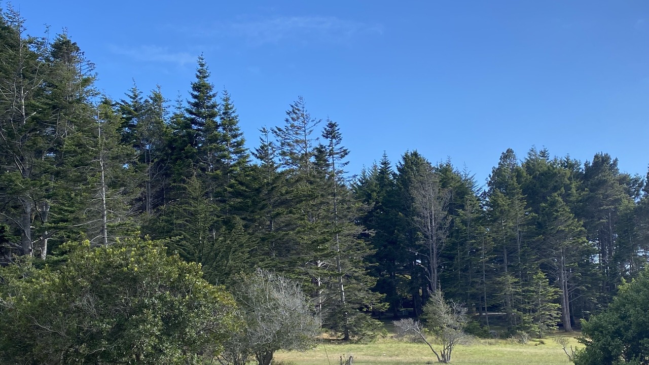 Photo of Others in Mendocino
