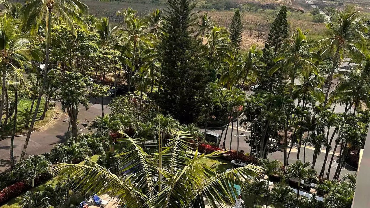 Photo of Outdoor in Makaha Valley