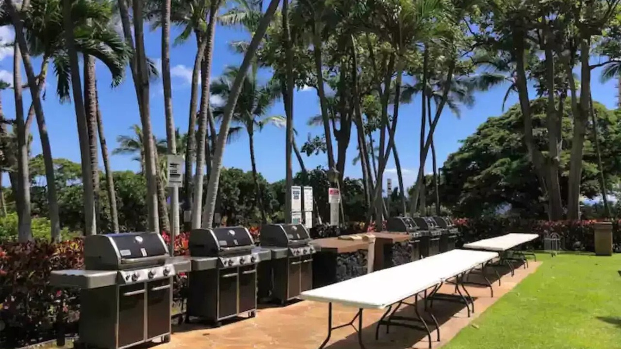 Photo of Outdoor in Makaha Valley