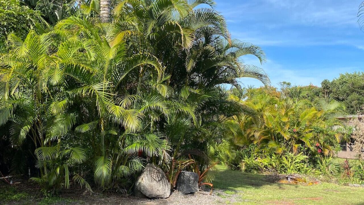 Photo of Others in Leilani Estates