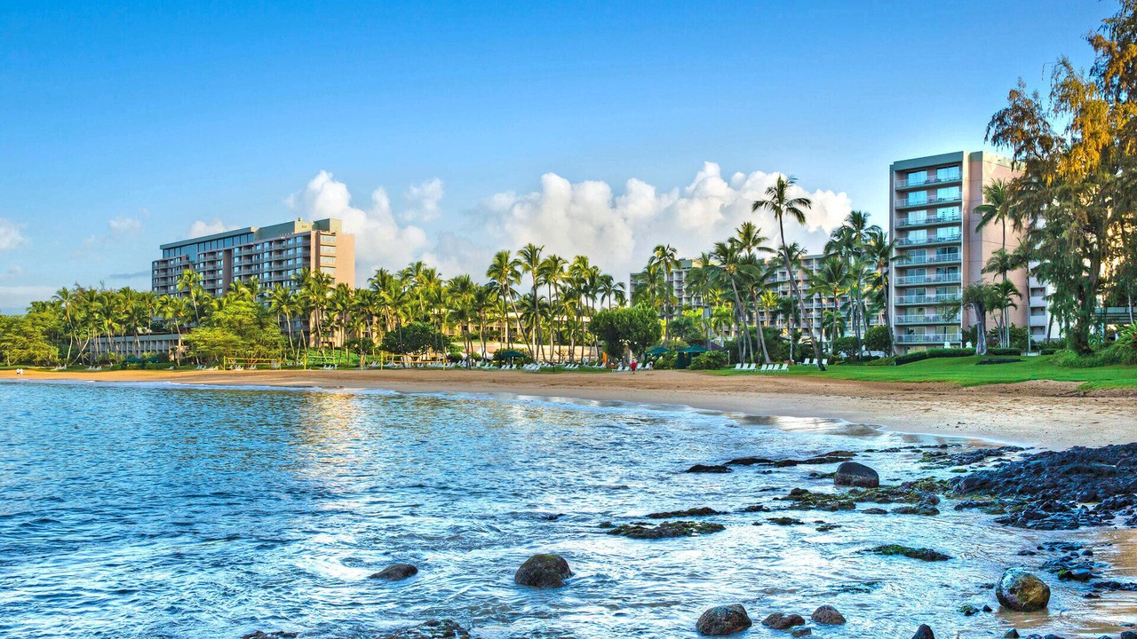 Photo of Others in Lihue