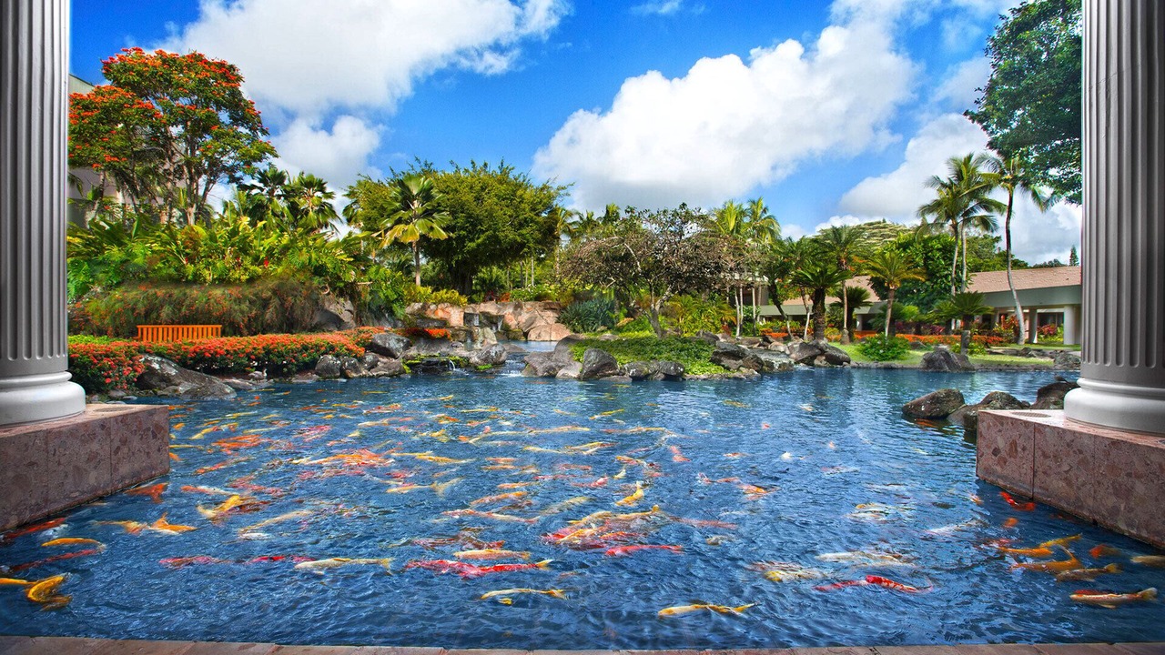 Photo of Others in Lihue