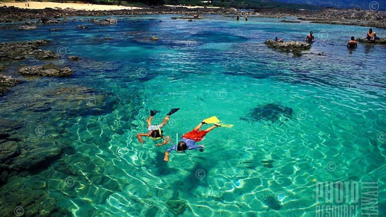 Photo of Others in Pupukea