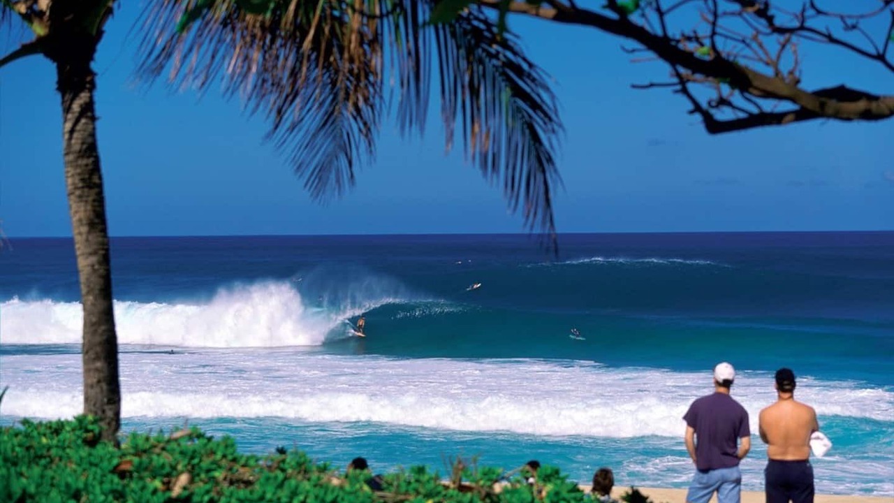 Photo of Others in Pupukea