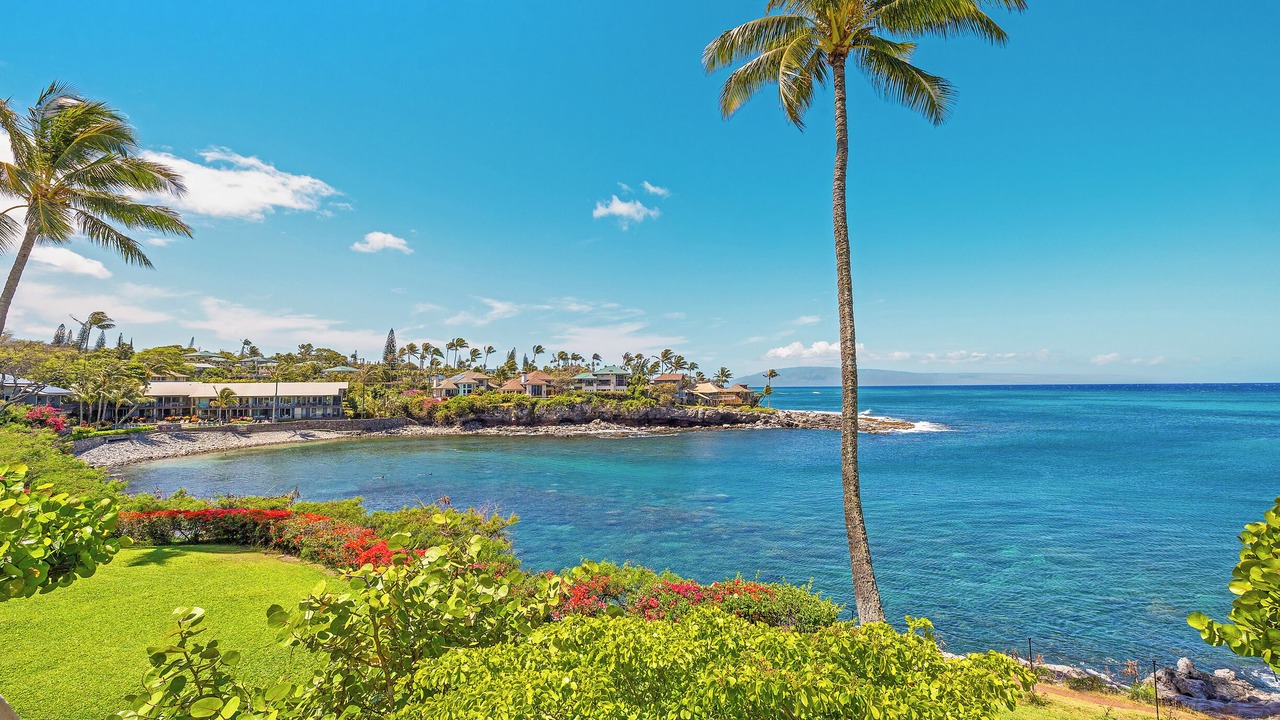 Photo of Others in Napili