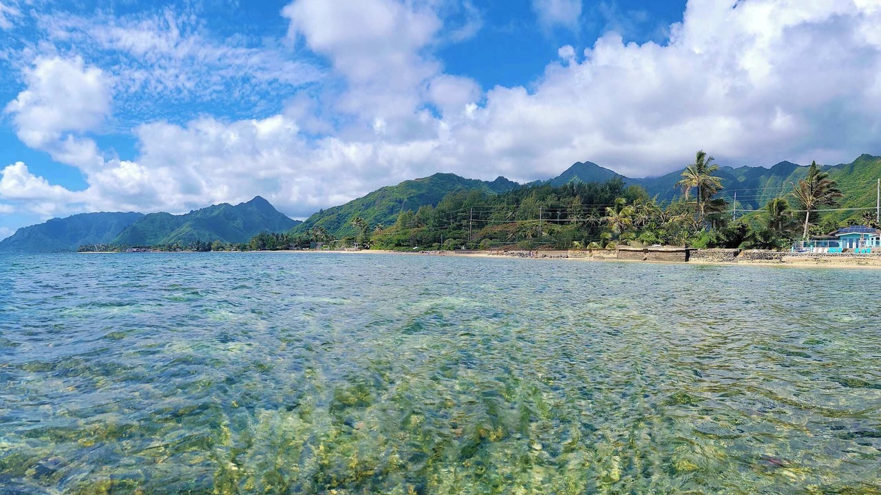 Photo of Others in Hauula