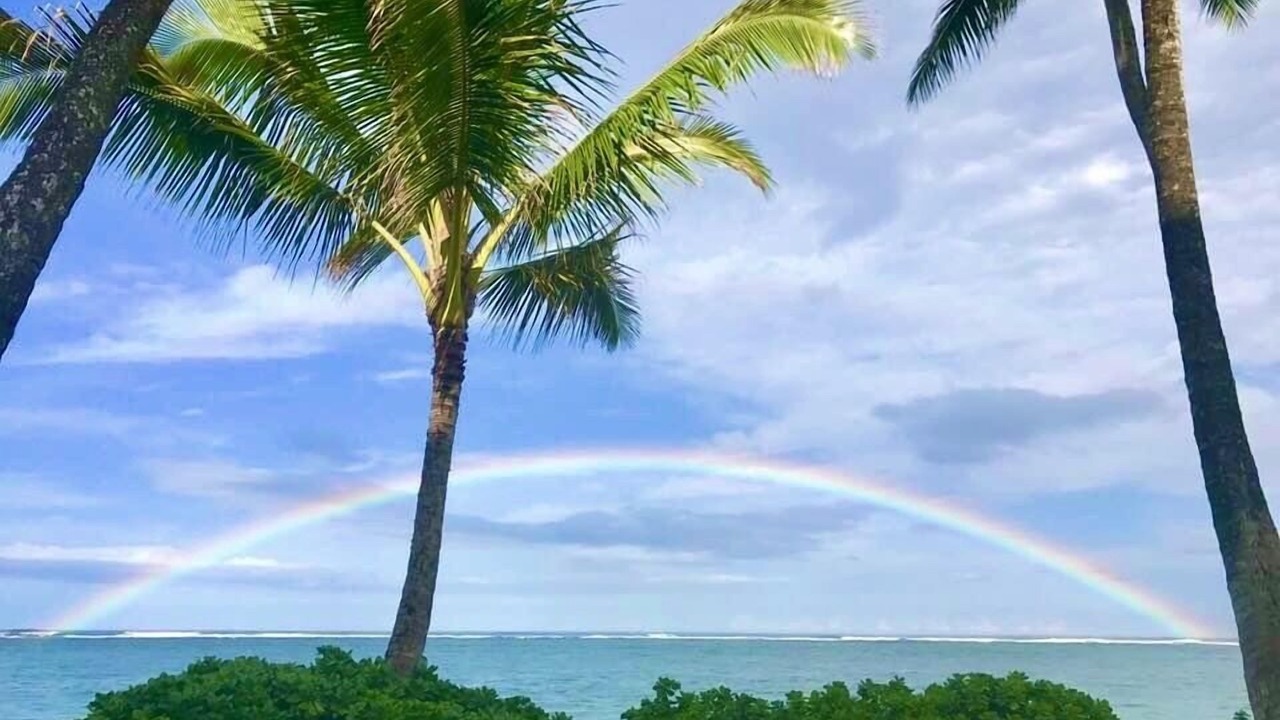 Photo of Outdoor in Punaluu