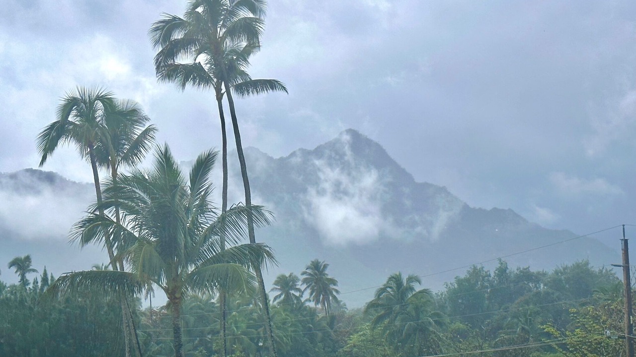 Photo of Others in Punaluu