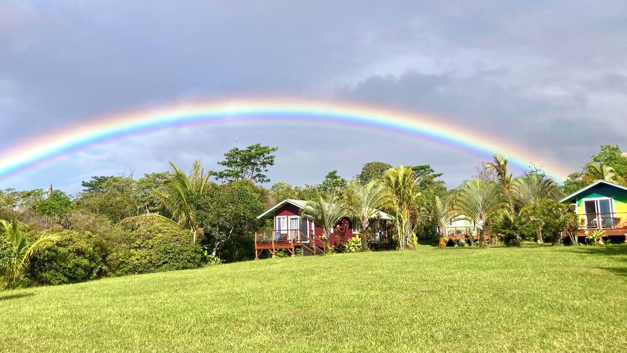 Photo of Outdoor in Pahoa