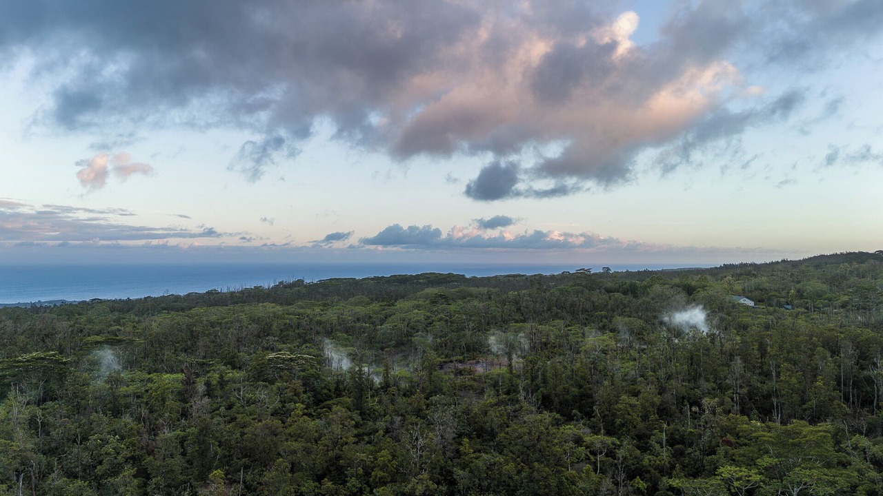 Photo of Others in Pahoa