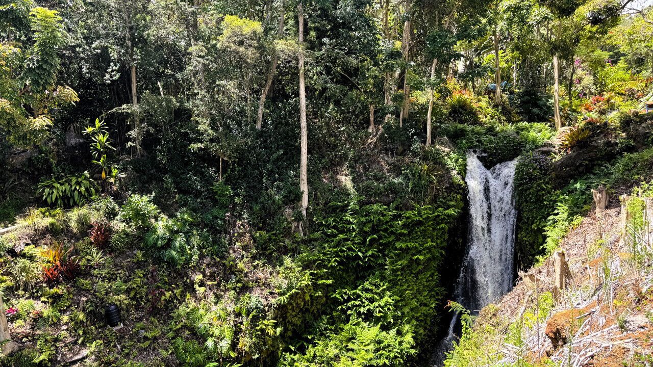 Photo of Others in Kukuihaele