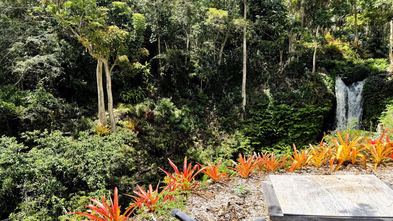 Photo of Outdoor in Kukuihaele