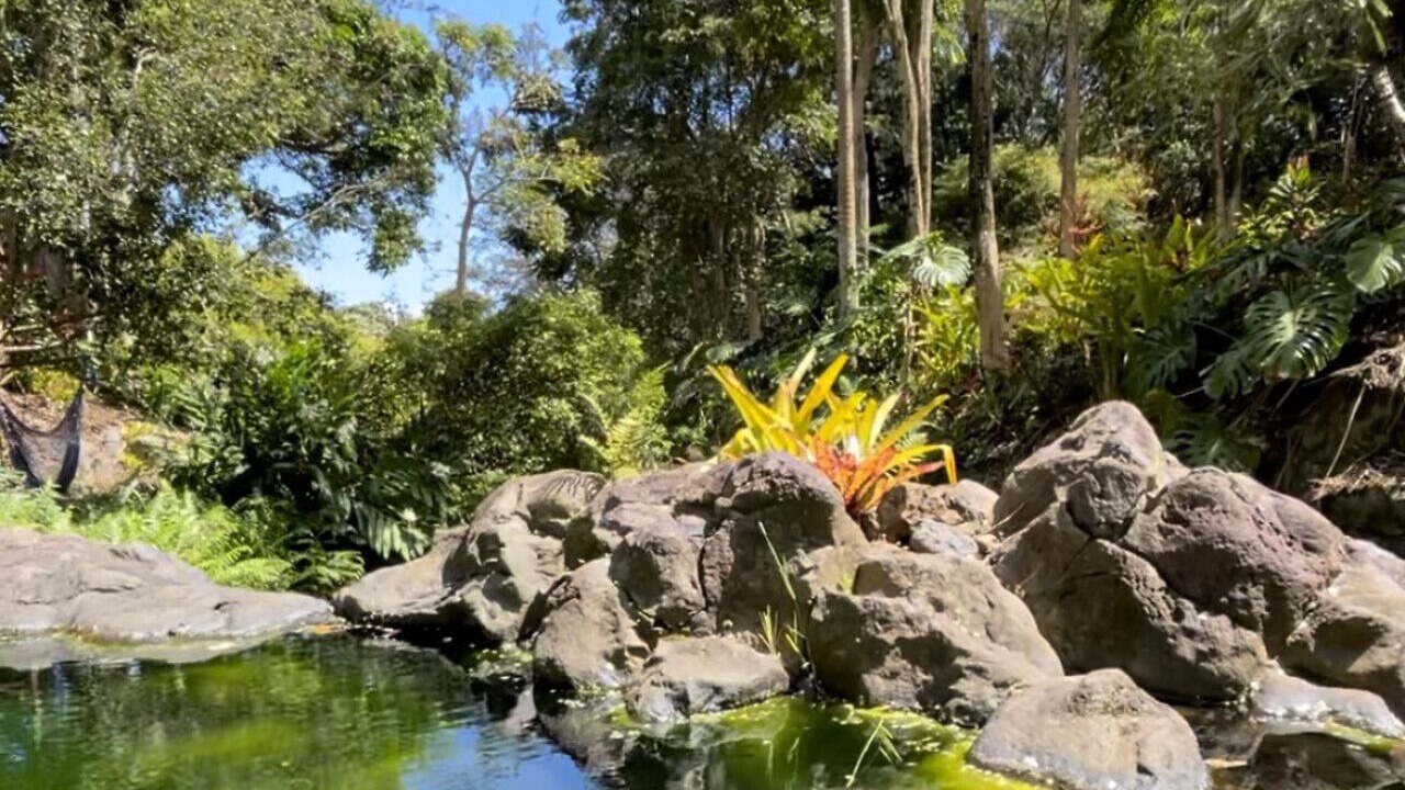 Photo of Outdoor in Kukuihaele