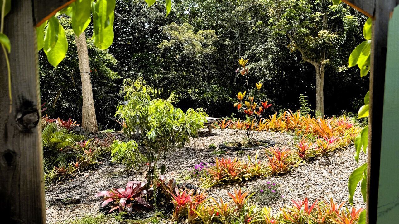Photo of Outdoor in Kukuihaele