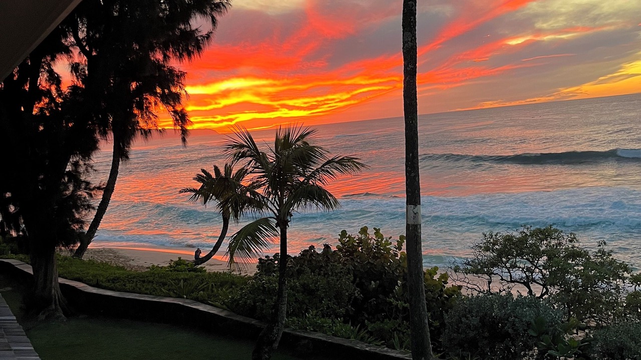 Photo of Outdoor in Pupukea