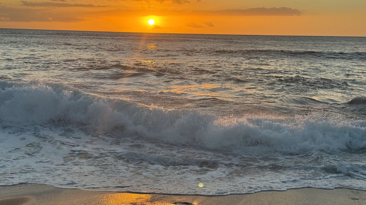 Photo of Others in Ko Olina