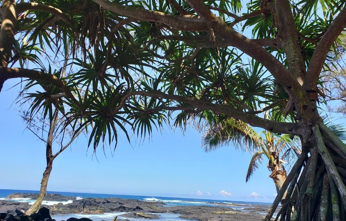Photo of Outdoor in Keaukaha