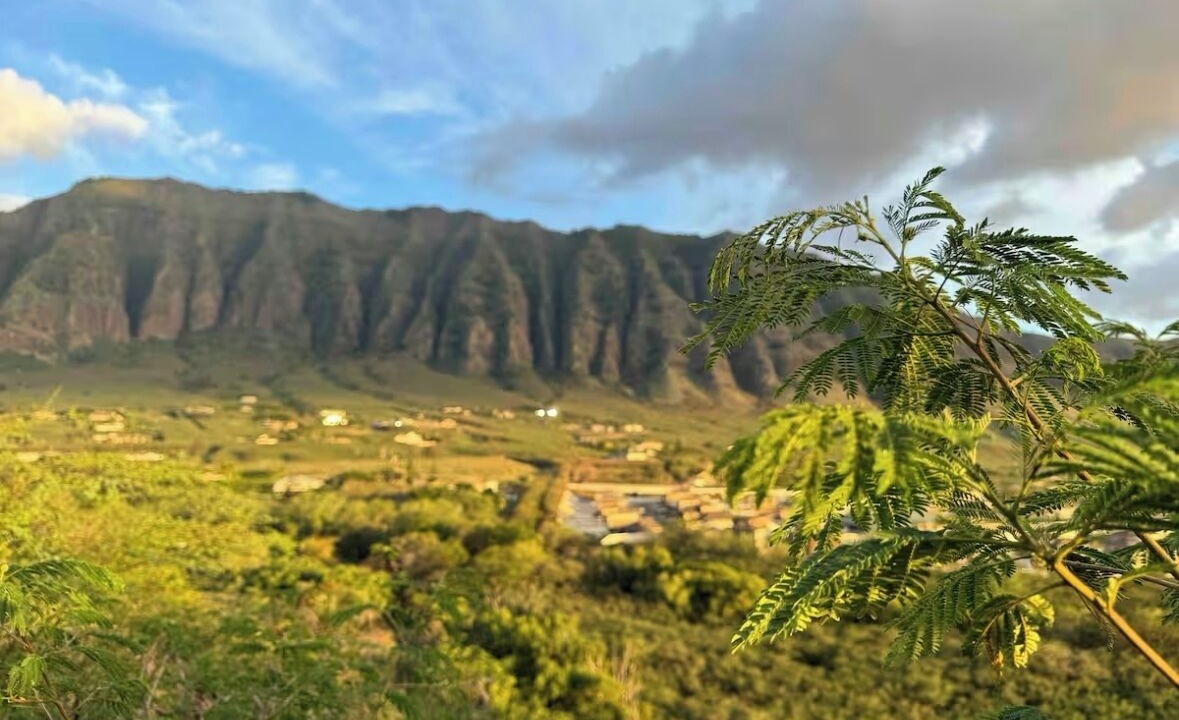 Photo of Others in Makaha Valley