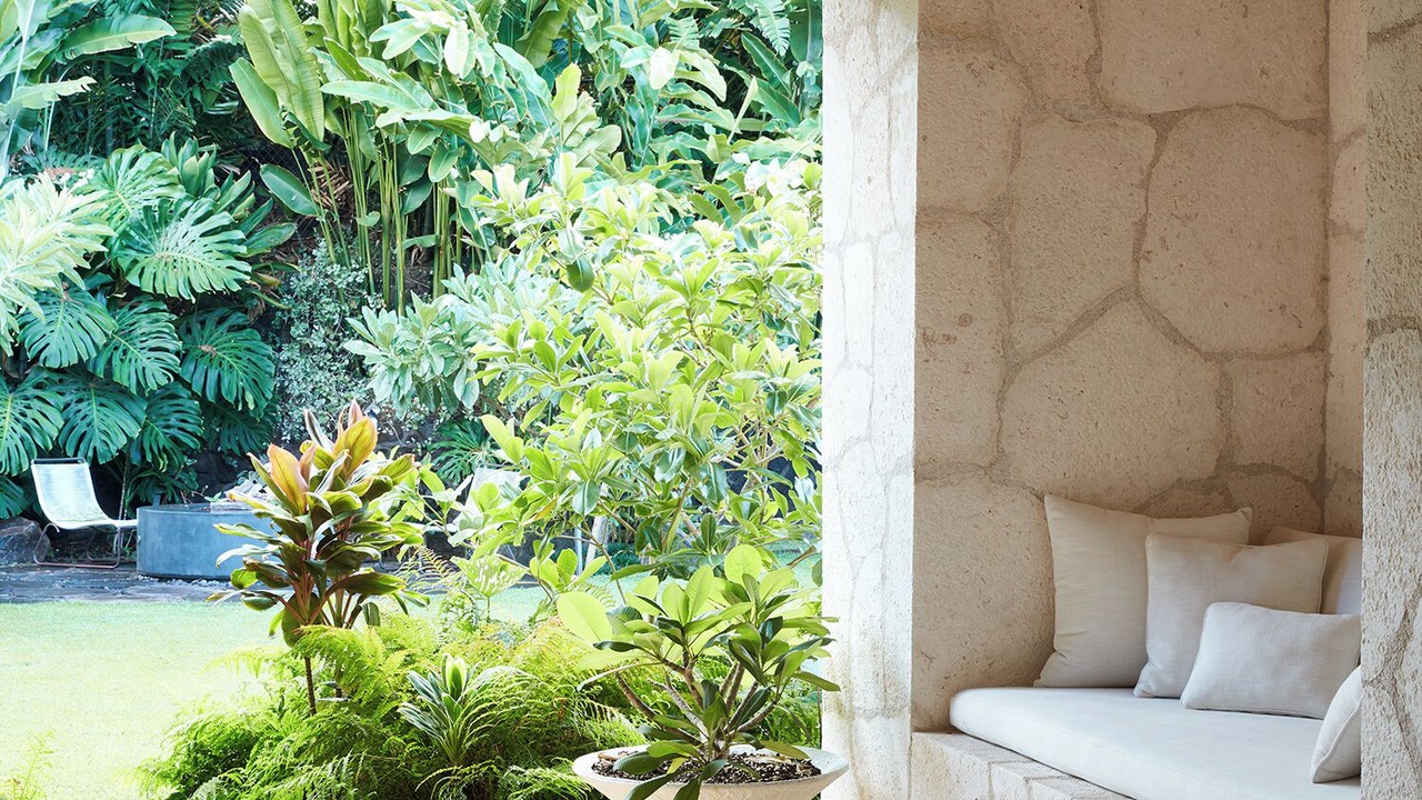 Photo of Patio Balcony in Diamond Head - Kapahulu - St. Louis