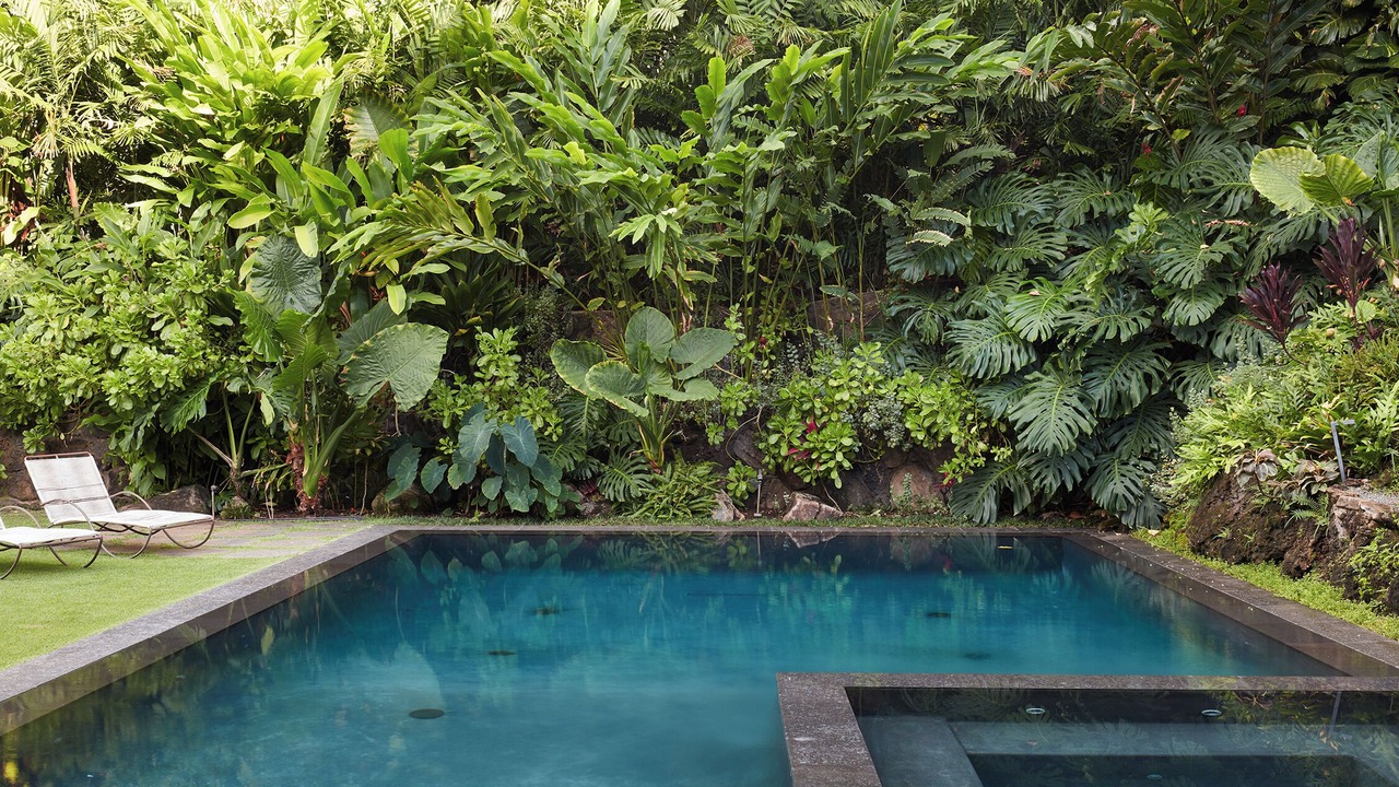 Photo of Outdoor in Diamond Head - Kapahulu - St. Louis