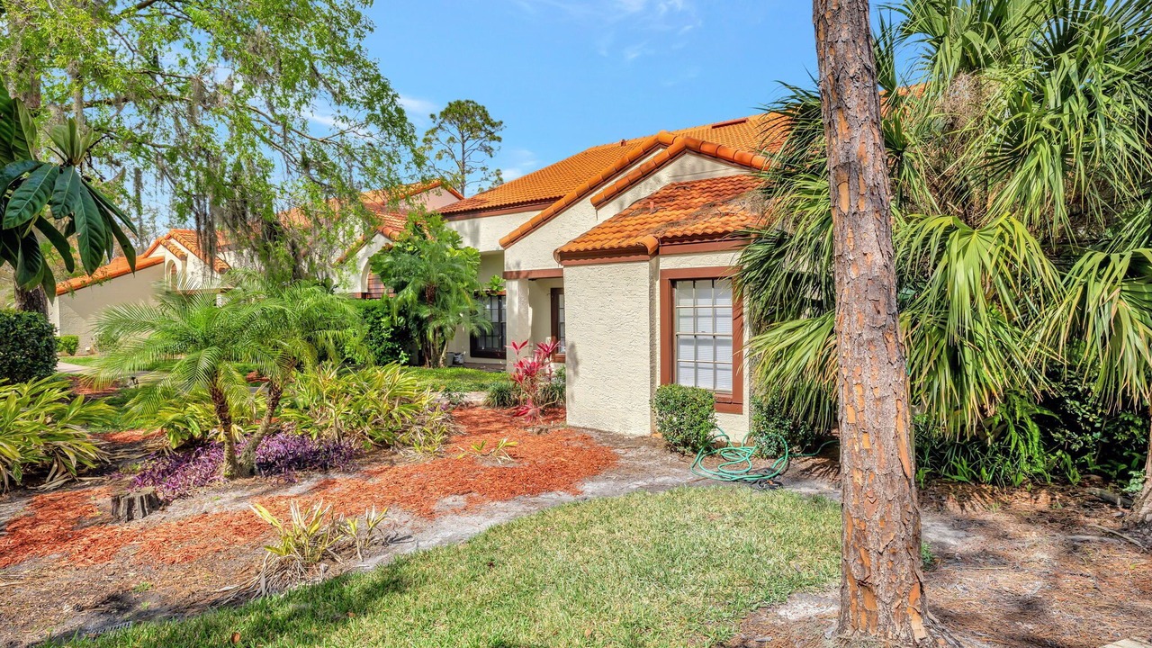 Photo of Outdoor in Saddlebrook