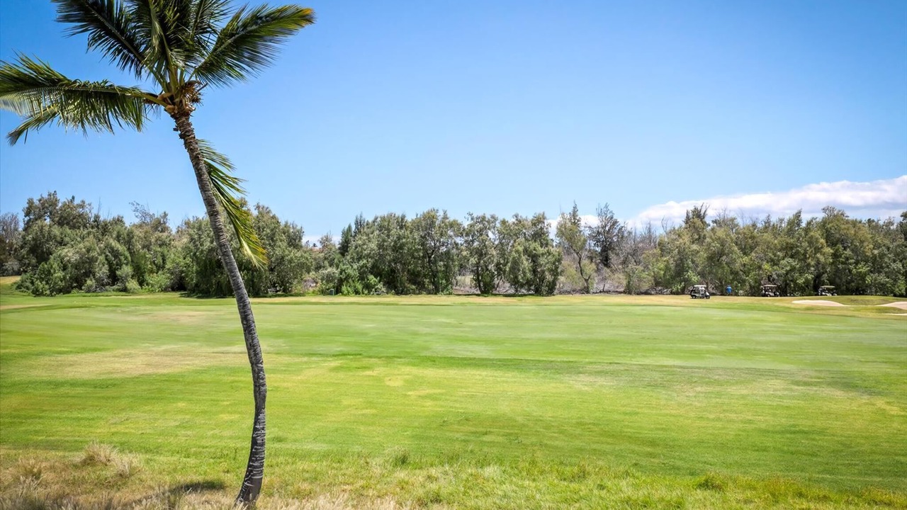 Photo of Others in Waikoloa Village