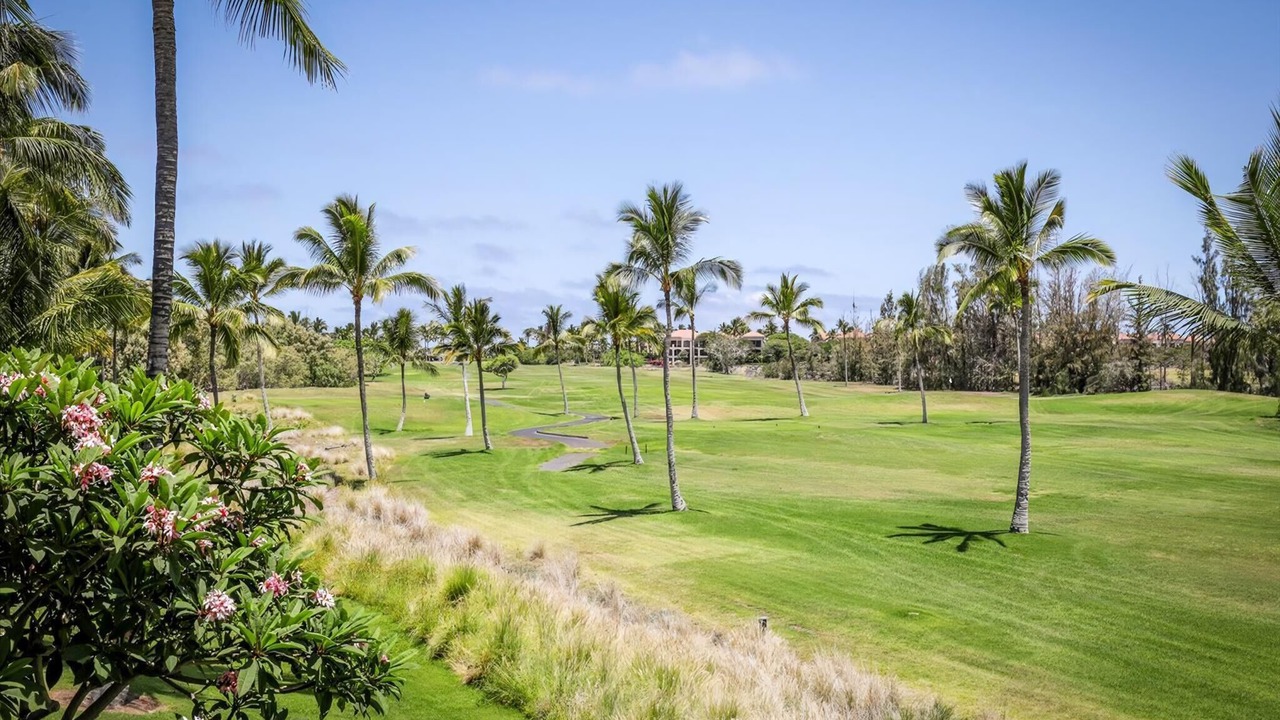 Photo of Others in Waikoloa Village