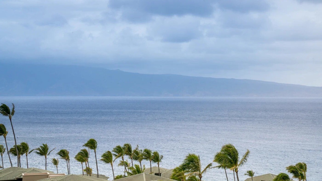 Photo of Others in Kapalua