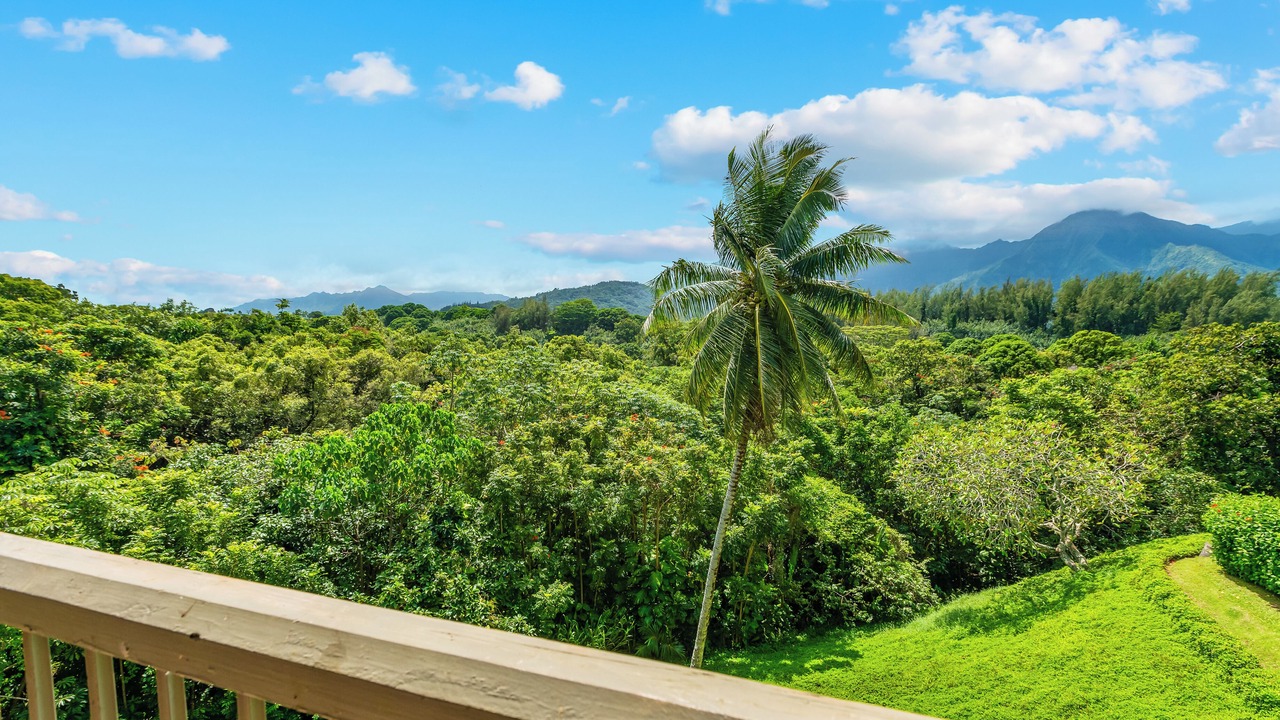 Photo of Outdoor in Princeville