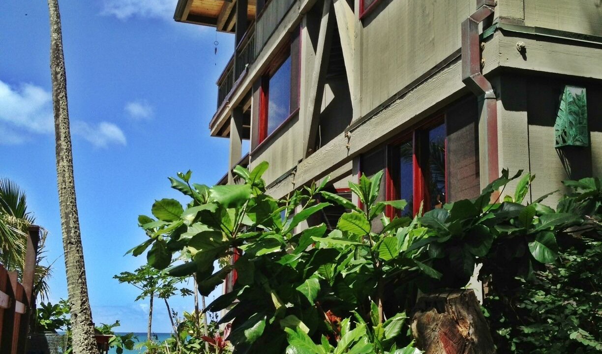 Photo of Outdoor in Pupukea