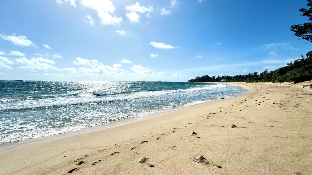 Photo of Others in Kahuku