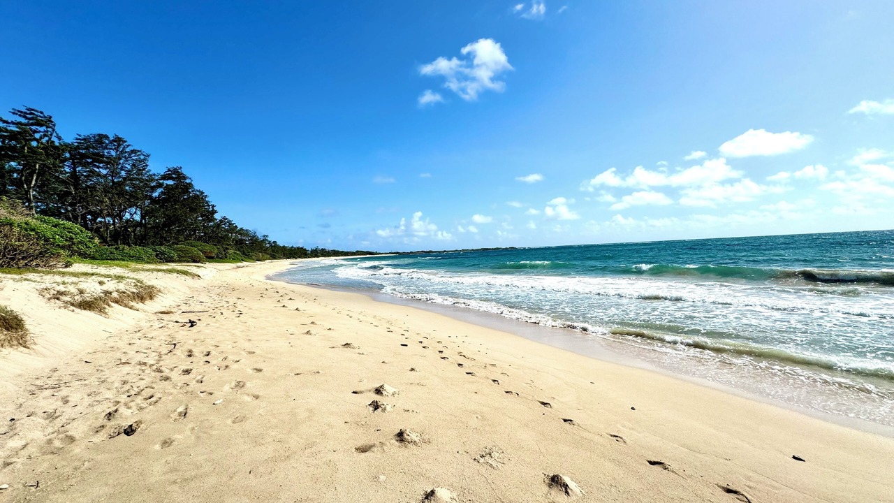 Photo of Others in Kahuku