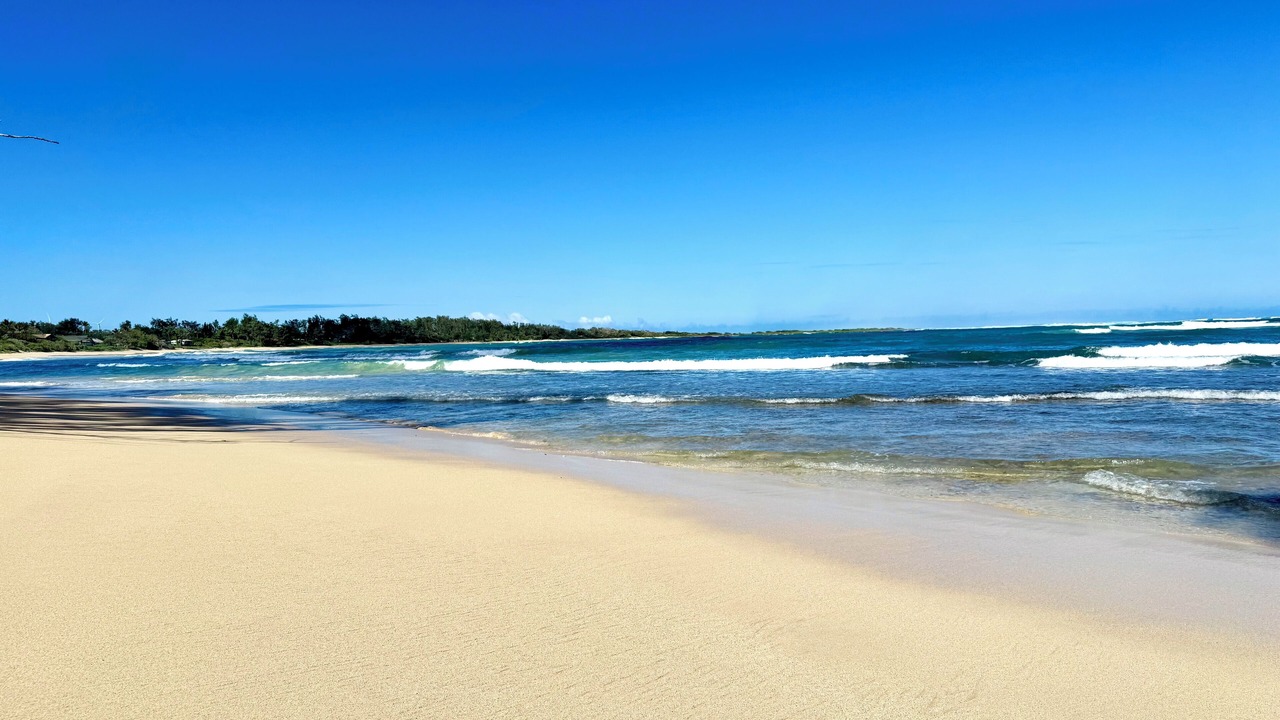 Photo of Others in Kahuku
