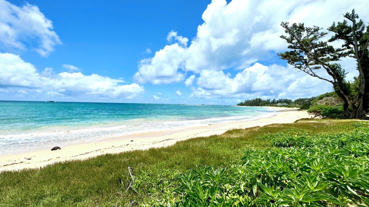 Photo of Others in Kahuku
