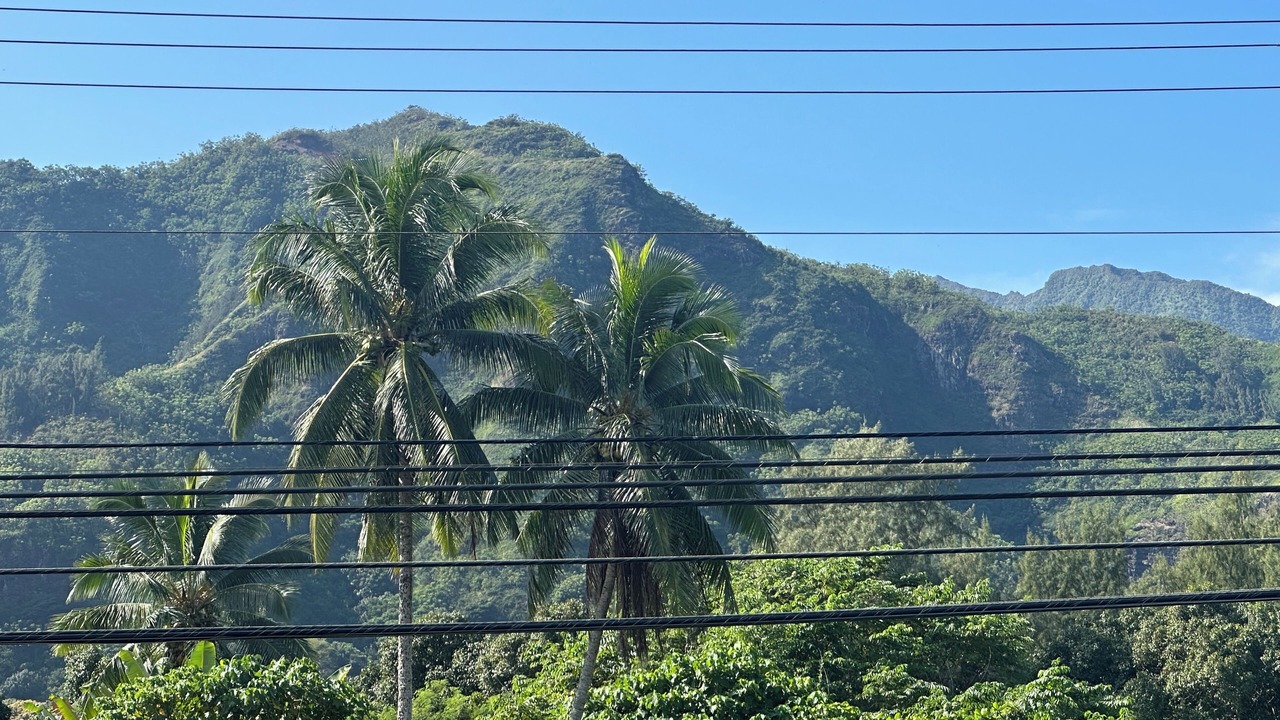 Photo of Others in Punaluu