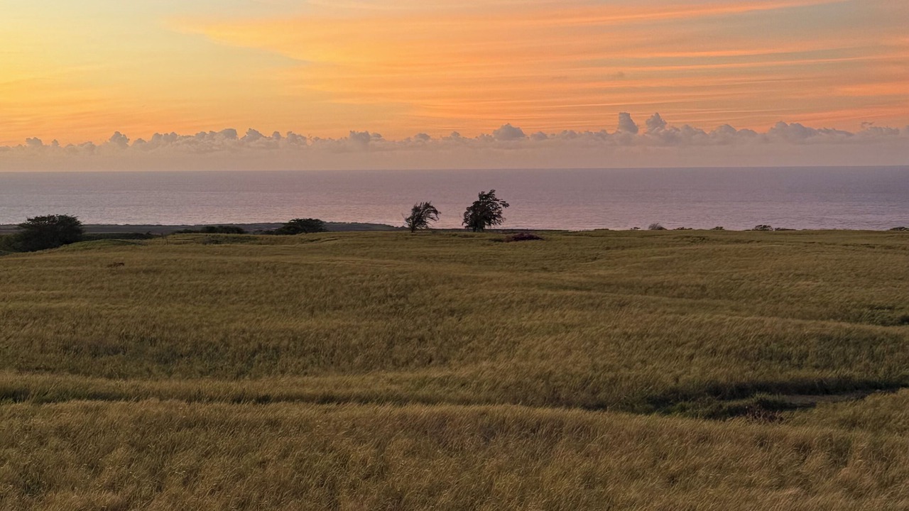 Photo of Others in Naalehu