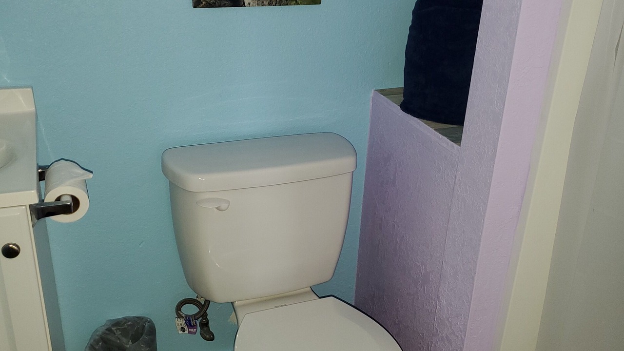 Photo of Bathroom in Wailuku