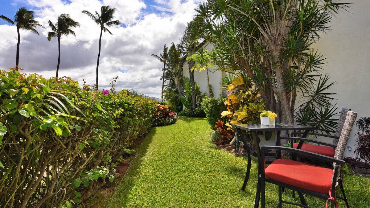Photo of Outdoor in Maalaea